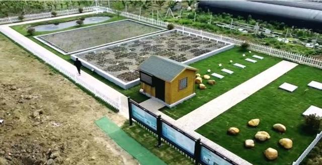 中央生态环保督察聚焦太湖流域 农村生活污水治理与污水处理厂建设双管齐下