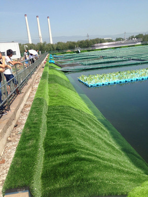 污水滋养绿意生 探秘山西污水处理厂的生态革新