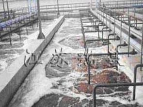 科技赋能，碧水新生 环保设备领域污水处理最新成果展示