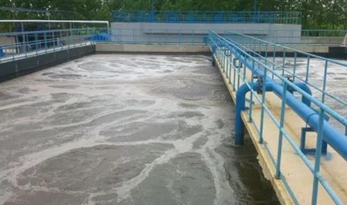 食品厂污水处理设备及处理流程详解